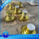 鋼包耳軸（材質(zhì)：35#）